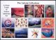 The Lakota Collection Note Card