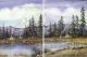 Eagle Clan Camp