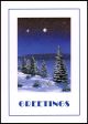 Greetings Christmas Card