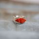 Coral Ring