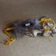 Medicine Wheel Dance Stick