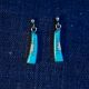 Small Turquoise Earrings