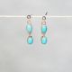 Turquoise Stones Earrings
