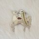 Lakota Horse/Chief Pin