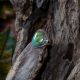 Green Turquoise Ring