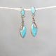Turquoise Drop Earrings