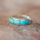 Turquoise Band