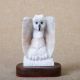 Alabaster Owl