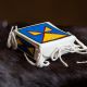 Geometric Tipi Parfleche Box