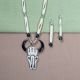 Buffalo Skull Set
