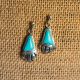 Bear Claw Earrings