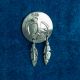 Thunderbird Pin