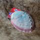 Abalone Smudging Shell