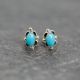 Turquoise Oval Post