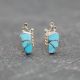 Turquoise Butterfly Posts