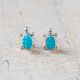 Turtle Earrings