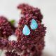 Teardrop Earrings
