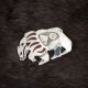 Walking Bear Pin