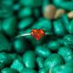 Red Opal Heart Ring