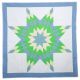 Frog Design Star Quilt